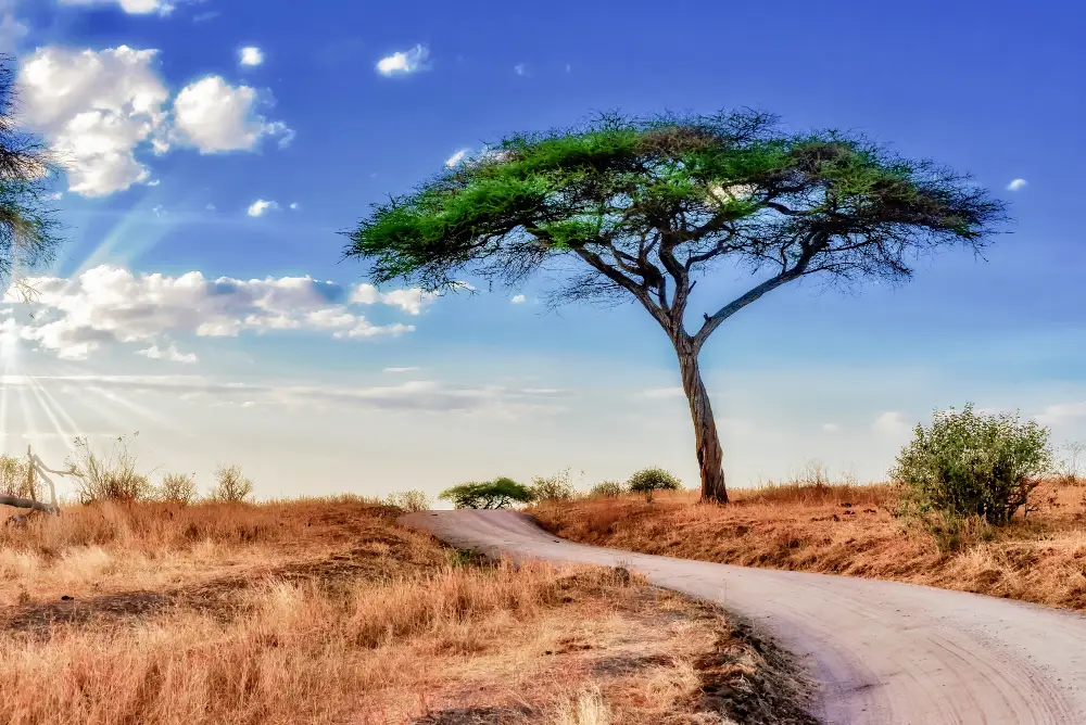 Kenya